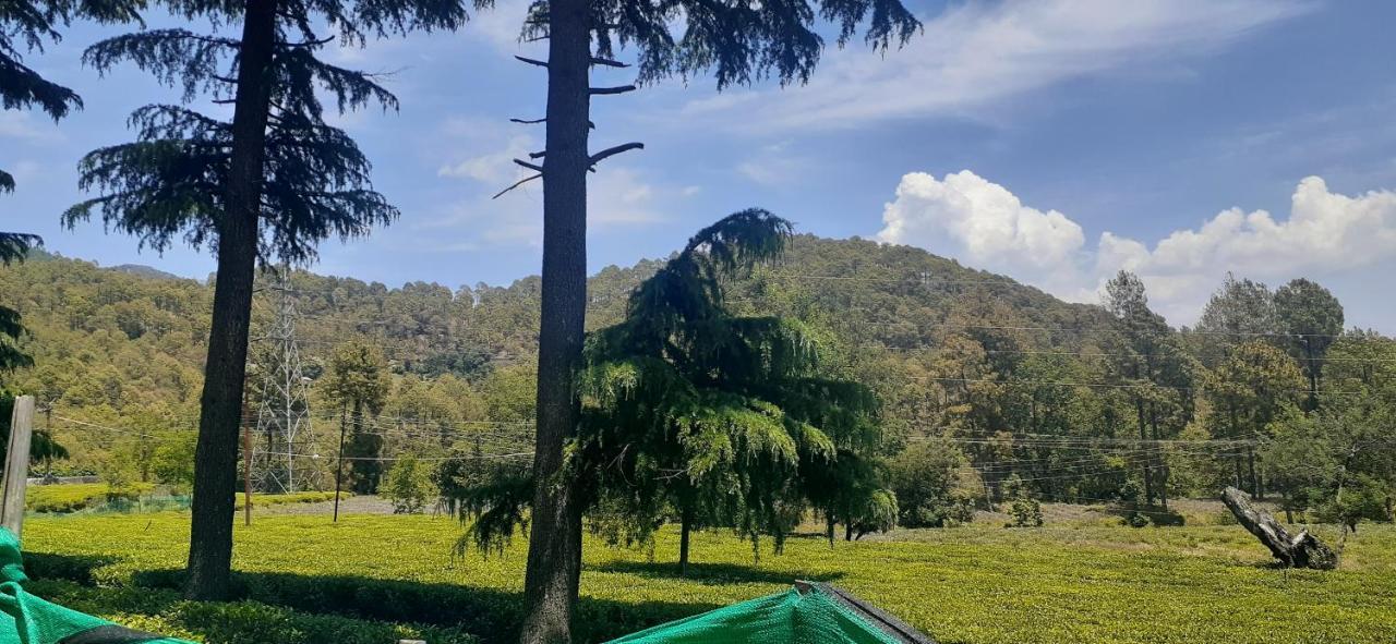 Hotel Goludev Valley View 奈尼塔尔 外观 照片